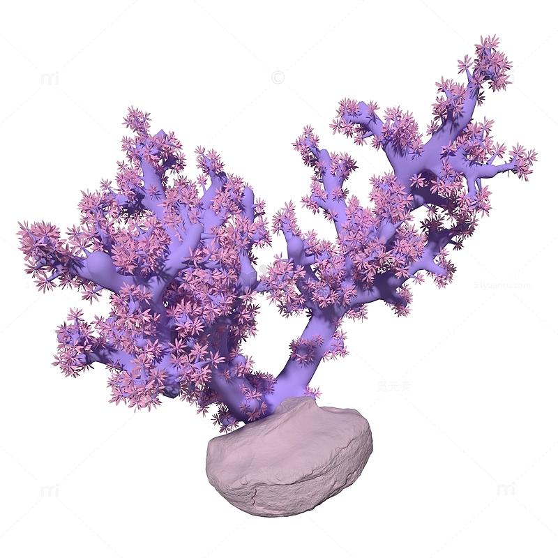 写实海洋植物珊瑚花