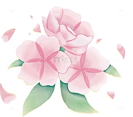 树上盛开的樱花