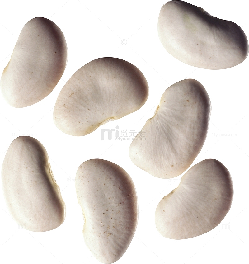 白色芸豆