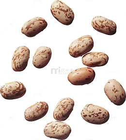 白色芸豆
