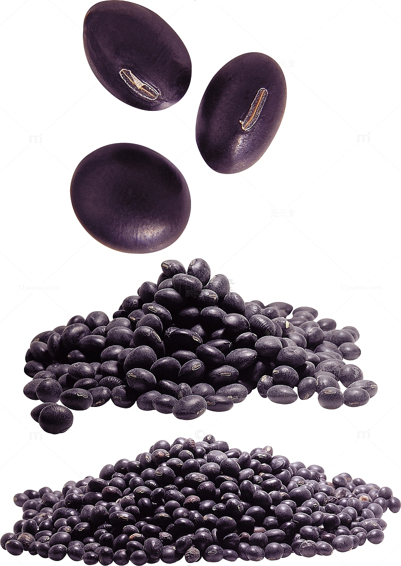 紫色芸豆