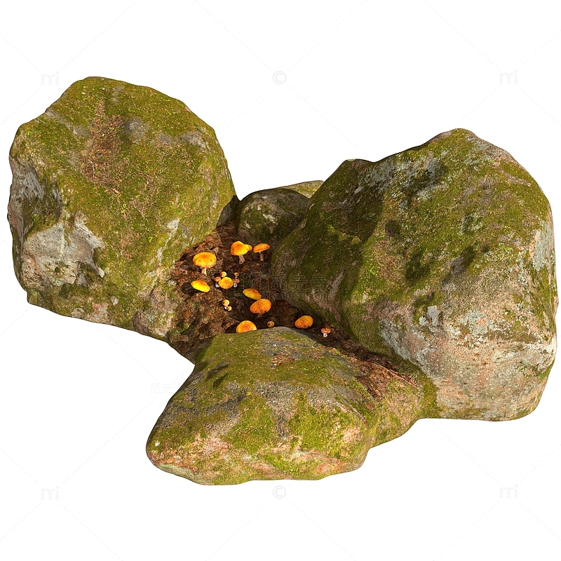 写实自然苔藓石头