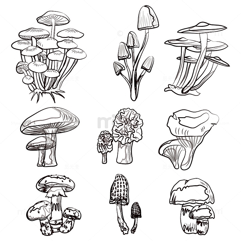 蘑菇黑白线稿