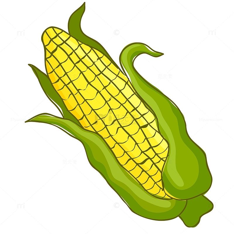 卡通玉米农作物