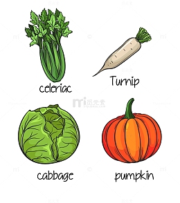 手绘绿色蔬菜南瓜白萝卜包心菜