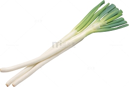 新鲜的大葱