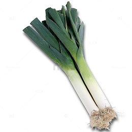 两颗绿色蒜苗
