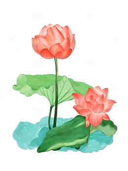 手绘水彩植物 荷花荷叶景观手账
