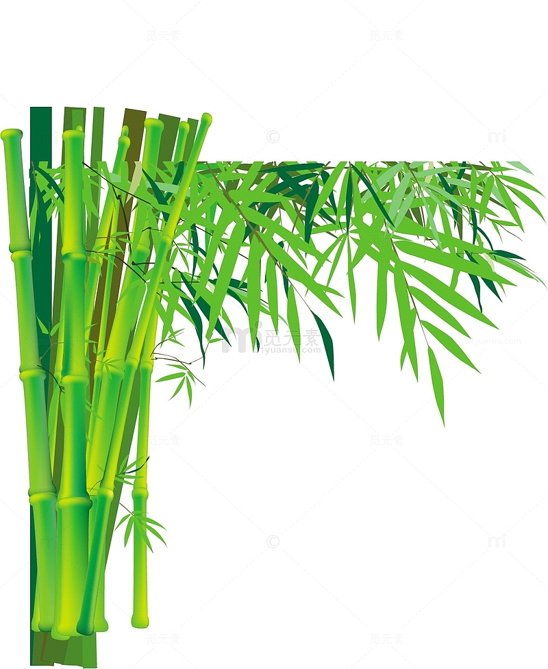 竹子边框装饰