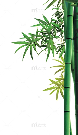 碧绿竹子画