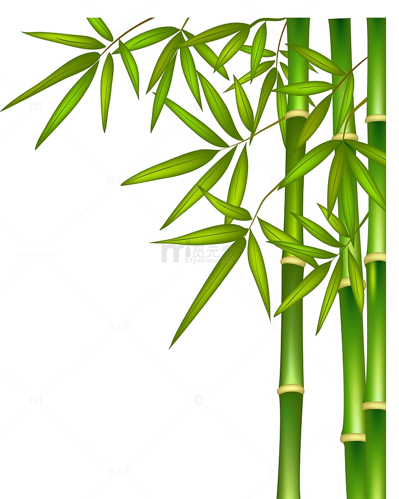 卡通彩绘竹子