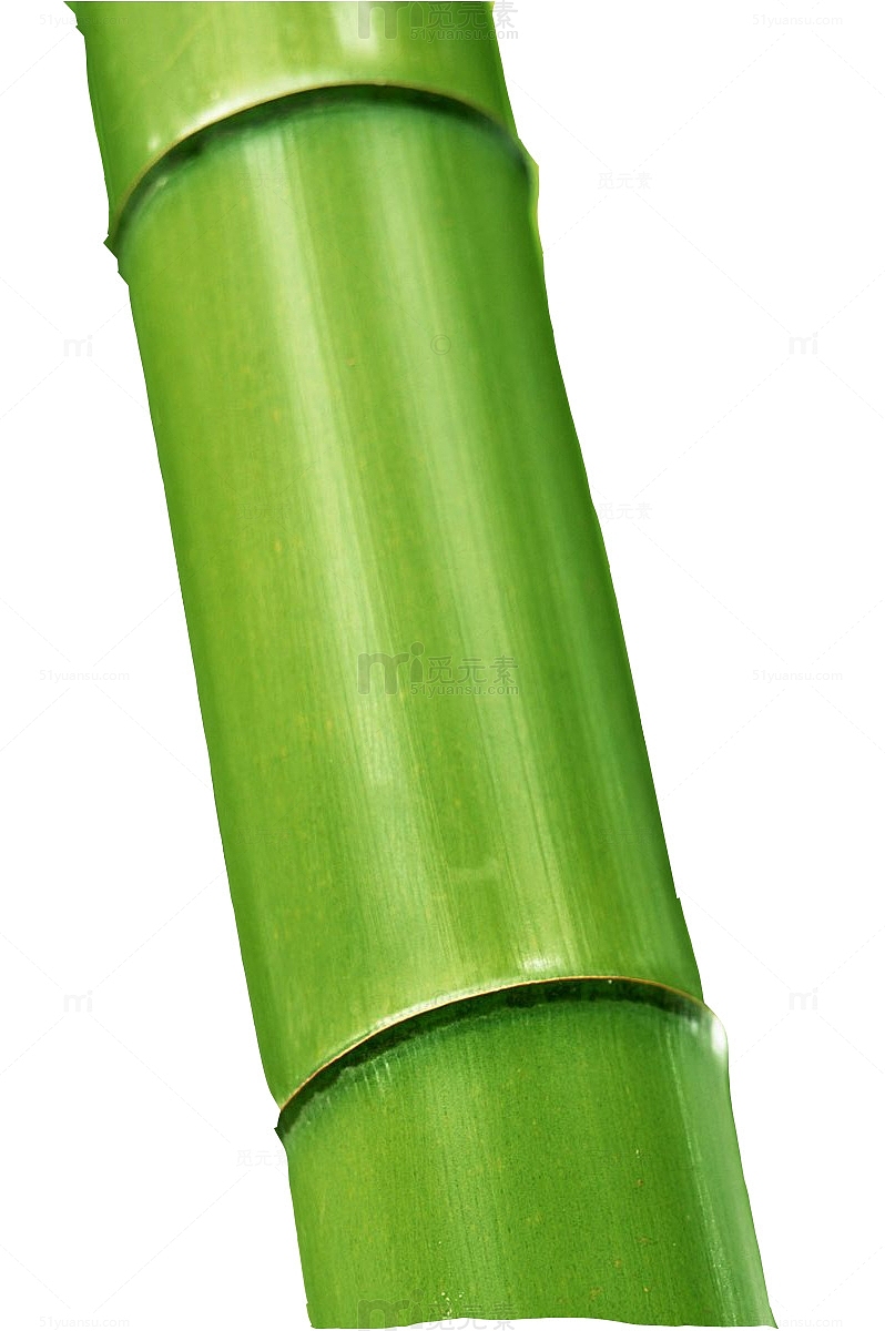 绿色竹节