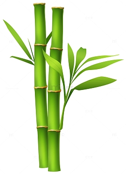 两根翠竹