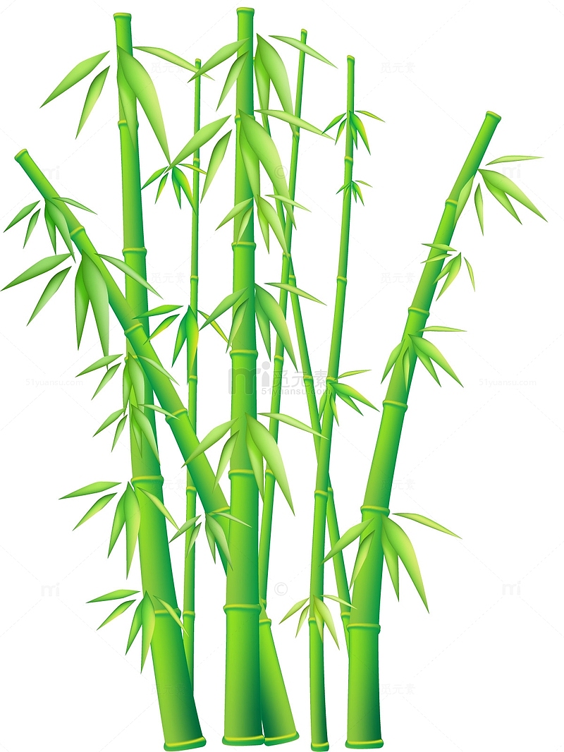卡通翠绿竹子