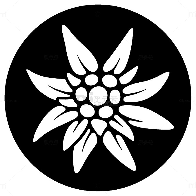 雪绒花徽章