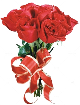 一束蝴蝶结丝带红玫瑰