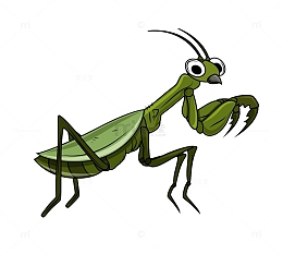卡通螳螂