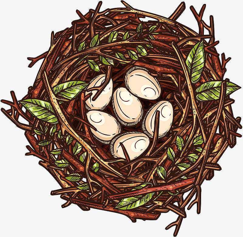 卡通鸟巢和蛋