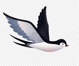 卡通燕子小鸟