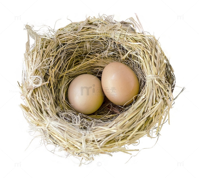 鸟巢和蛋