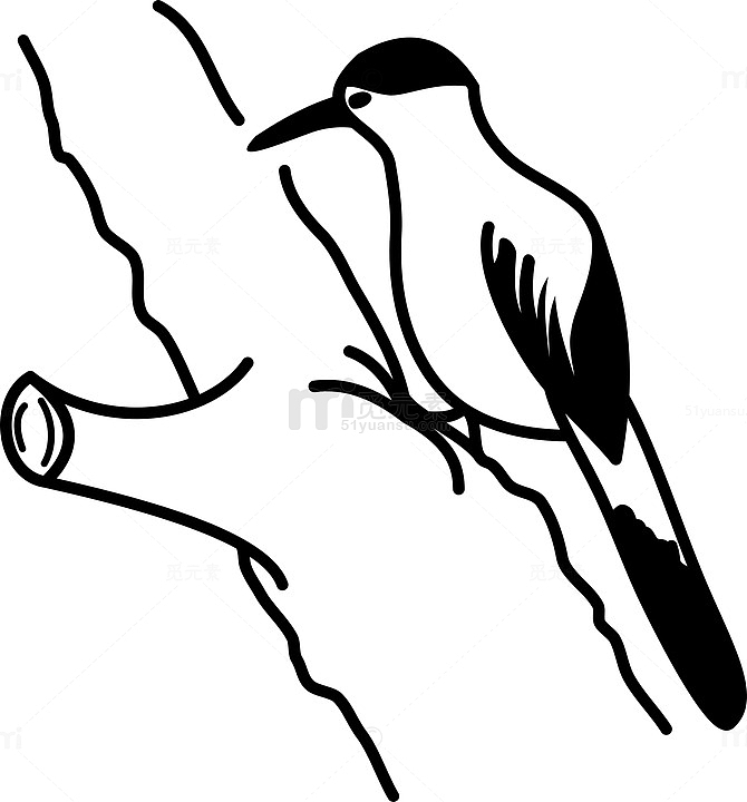 啄木鸟手绘