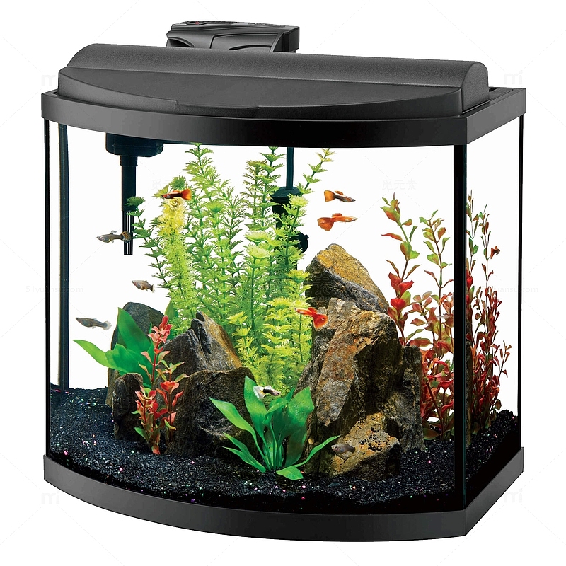 鱼缸水族箱生态养鱼缸