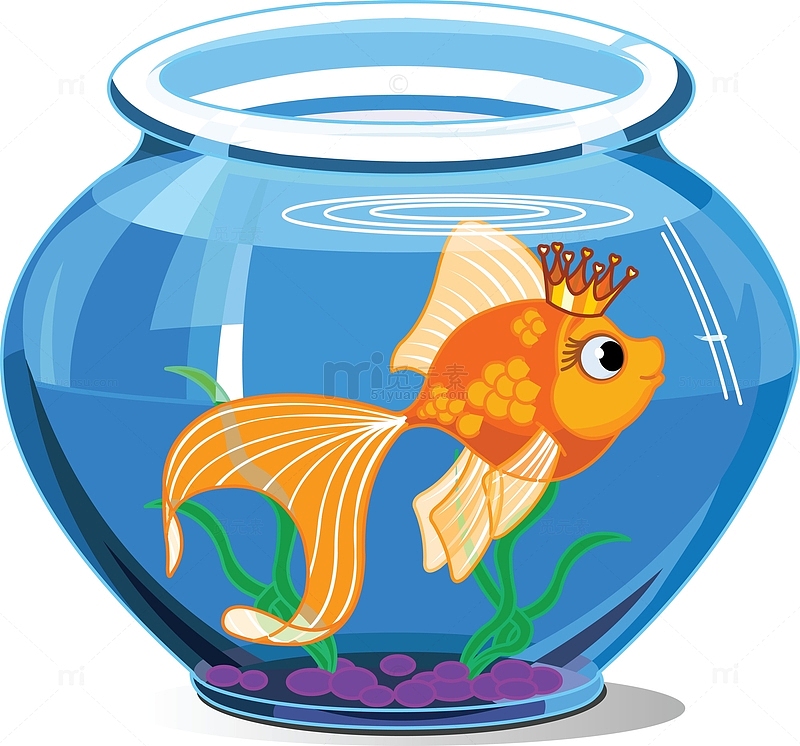 卡通生态鱼缸养鱼缸