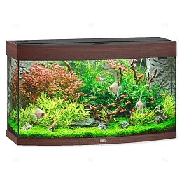家用生态水族箱养鱼缸