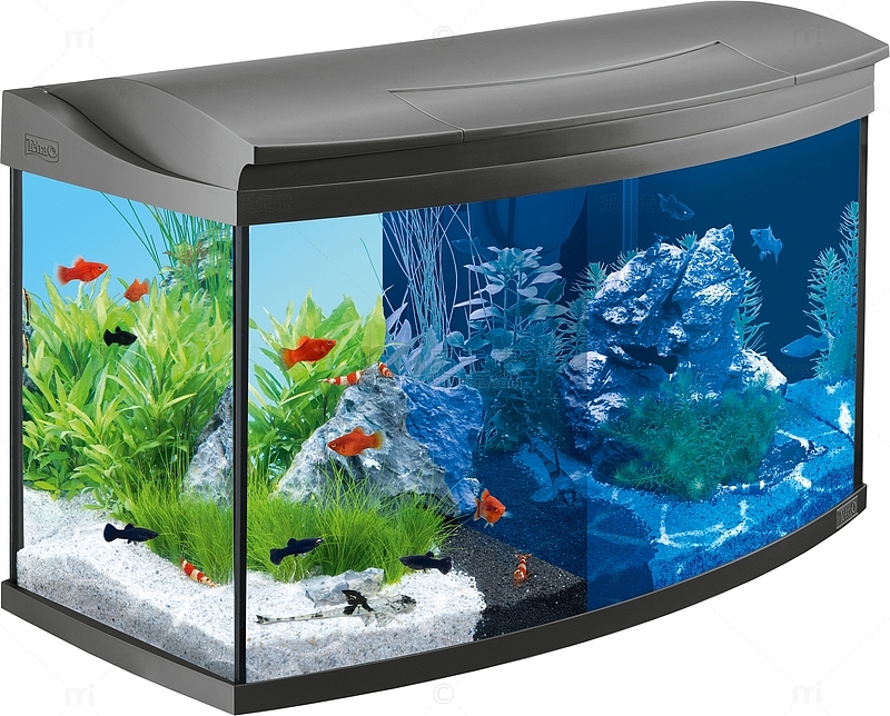 家用生态养鱼缸