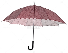 碎花雨伞