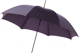 紫色自动雨伞