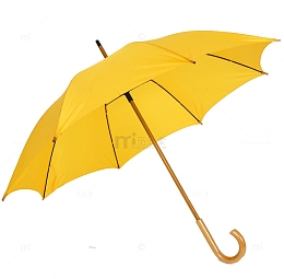 撑开的雨伞