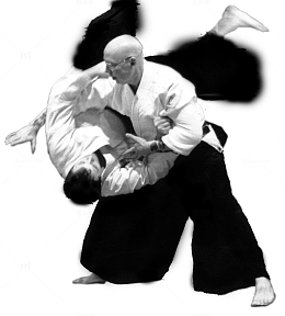 合气道武术