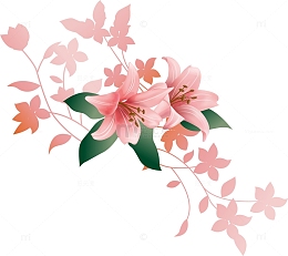 百合花贴纸