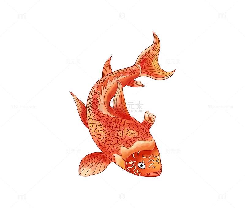 手绘红色锦鲤鱼元素