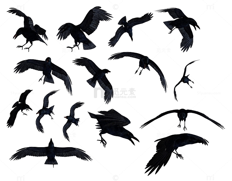 万圣节黑乌鸦鸟类装饰