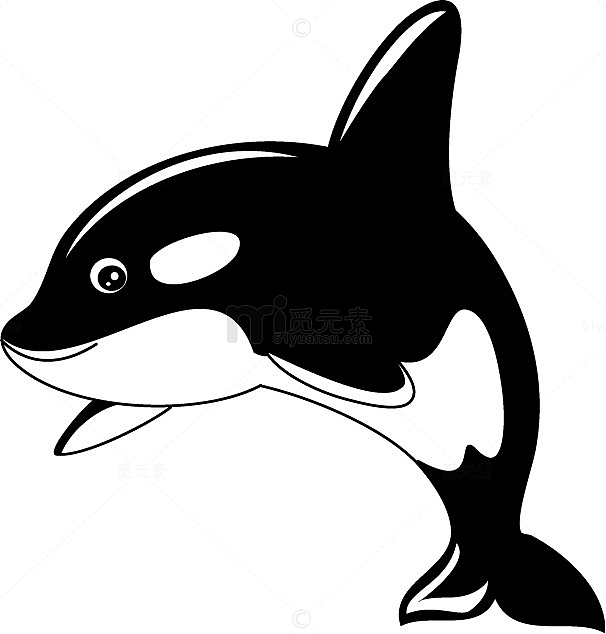 黑色卡通虎鲸