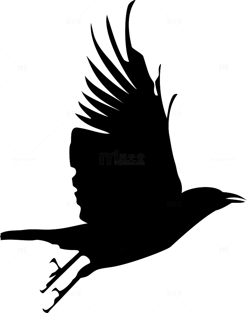 飞翔的黑色乌鸦