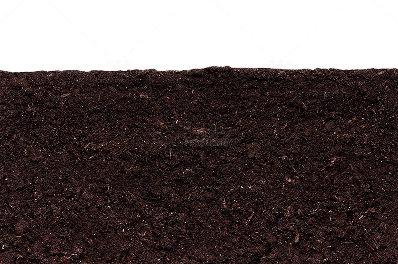 黑色土壤