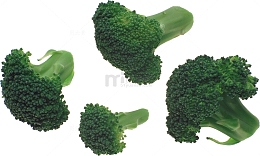 荜路蓝蒌的西兰花