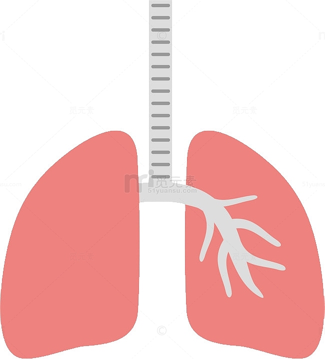 卡通彩绘肺部示意图