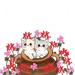 猫咪与天竺葵