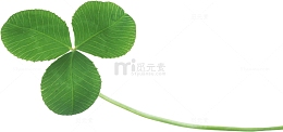 一片三叶草
