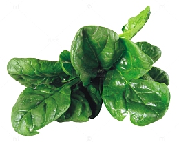 翠绿欲滴的菠菜