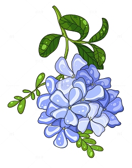 美丽的蓝色花团