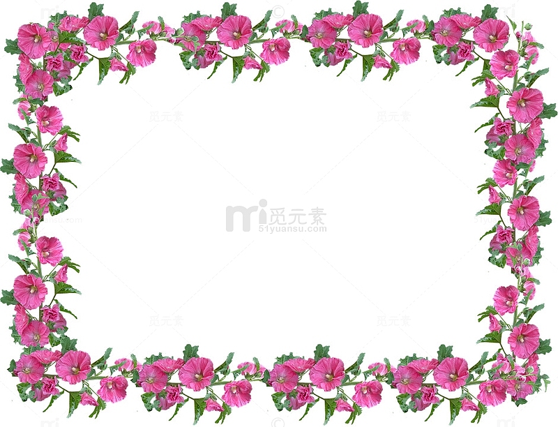 粉色喇叭花花朵框架