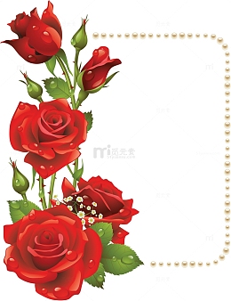 红色玫瑰花小雏菊花朵框架