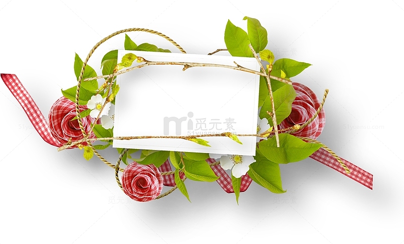 玫瑰花花朵摄影装饰