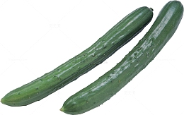 新鲜的黄瓜