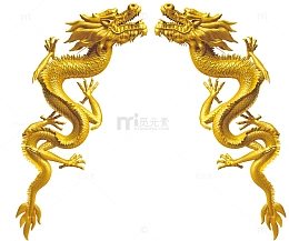 两条金龙